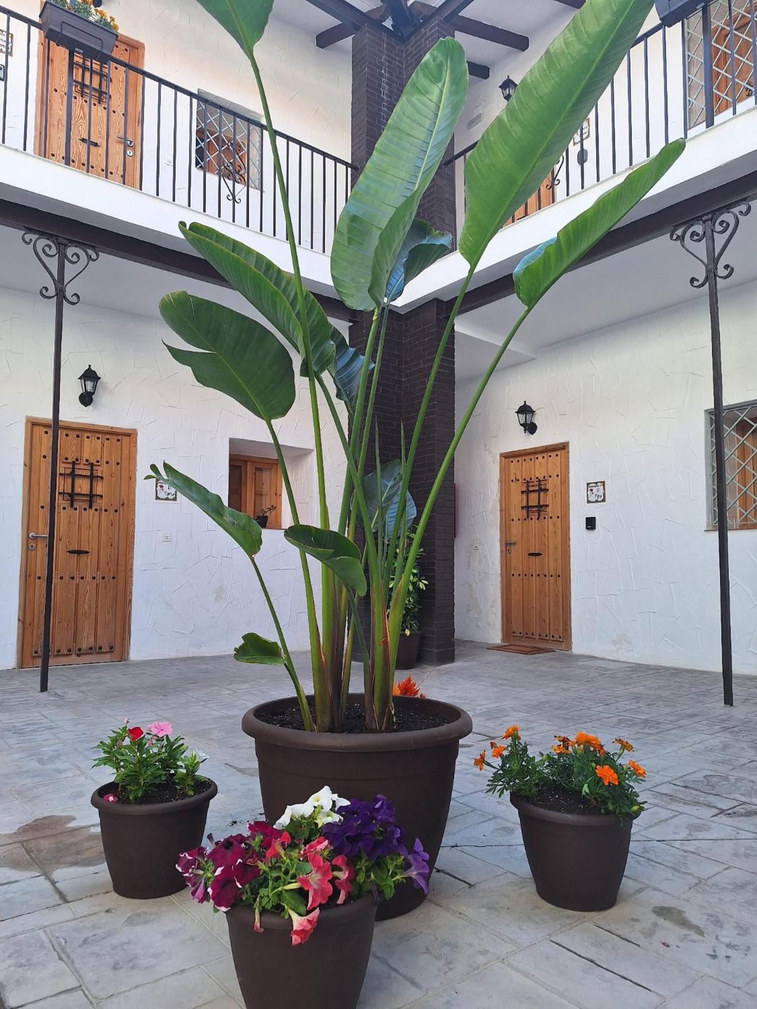 Suite San Mateos 15 Jerez de la Frontera Exterior foto